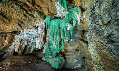 कांगेर घाटी में मिली अनोखी “ग्रीन गुफा”जल्द खुलेंगे पर्यटन के नए द्वार