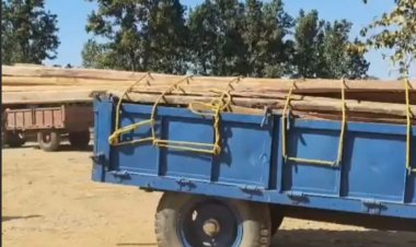 जशपुर : कांसाबेल में एक घर से बरामद हुई अवैध साल लकड़ी, वन विभाग की कार्रवाई से मचा हड़कंप