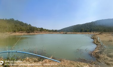 जशपुर: सन्ना थाना क्षेत्र में पहाड़ी कोरवा 13 वर्षीय बच्ची के तालाब में डूबने की आशंका, जिले से गोताखोर टीम रवाना... पढ़िए पूरी खबर