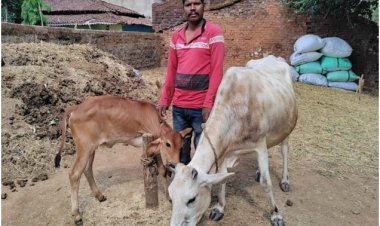 राज्य पोषित डेयरी उद्यमिता विकास योजना से सुखसागर आर्थिक रूप से हुआ मजबूत   