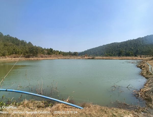 जशपुर: सन्ना थाना क्षेत्र में पहाड़ी कोरवा 13 वर्षीय बच्ची के तालाब में डूबने की आशंका, जिले से गोताखोर टीम रवाना... पढ़िए पूरी खबर