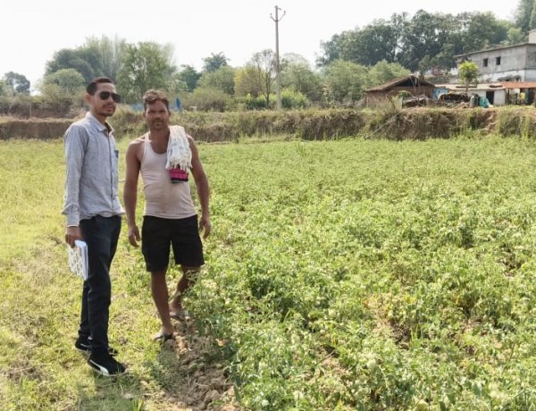 जशपुर: राष्ट्रीय बागवानी मिशन से सशक्त किसान, सुनील भगत को टमाटर उत्पादन से 55 हजार रुपये का शुद्ध लाभ