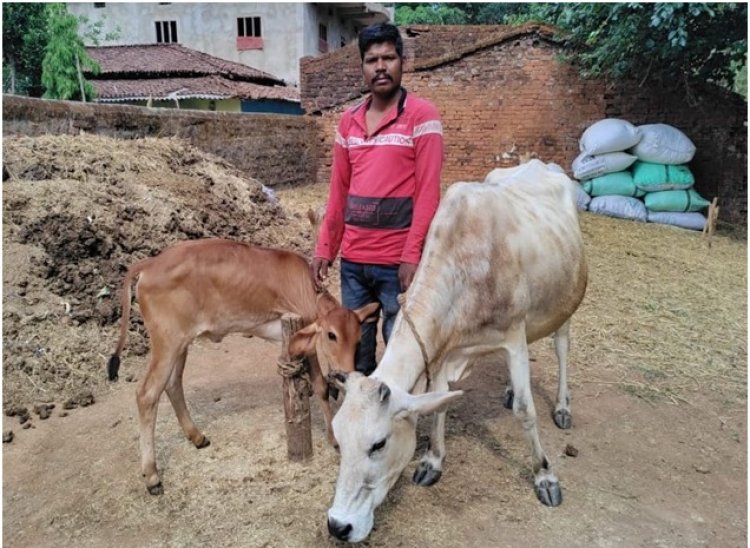 राज्य पोषित डेयरी उद्यमिता विकास योजना से सुखसागर आर्थिक रूप से हुआ मजबूत   