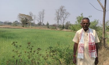 सफलता की कहानी : गेहूं की फसल कम लागत में किसानों को ज्यादा मुनाफा