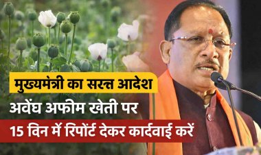 प्रदेश में अफीम की खेती की आशंका… मुख्यमंत्री साय ने सभी कलेक्टरों को दिए सख्त निर्देश