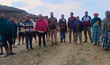 जशपुर: हाथियों के बीच फंसे बुजुर्गों को वन विभाग ने बचाया