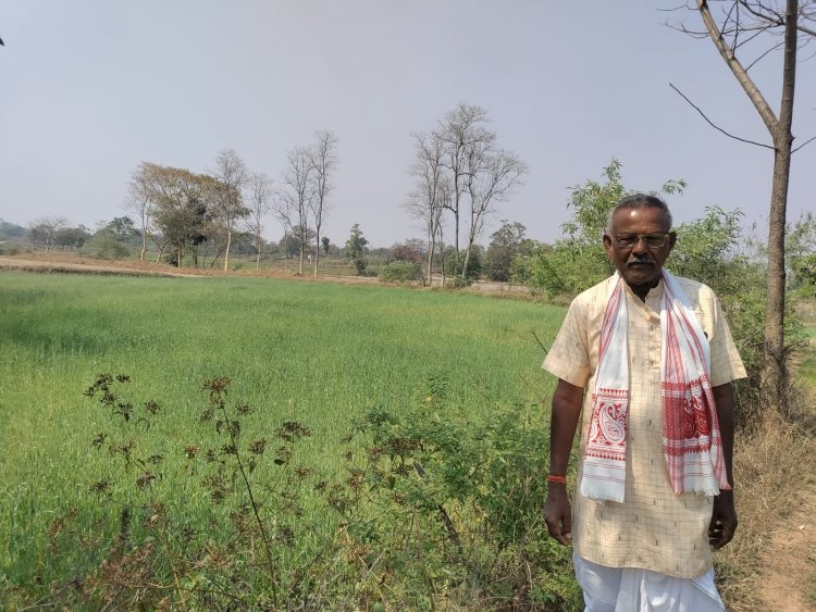 सफलता की कहानी : गेहूं की फसल कम लागत में किसानों को ज्यादा मुनाफा