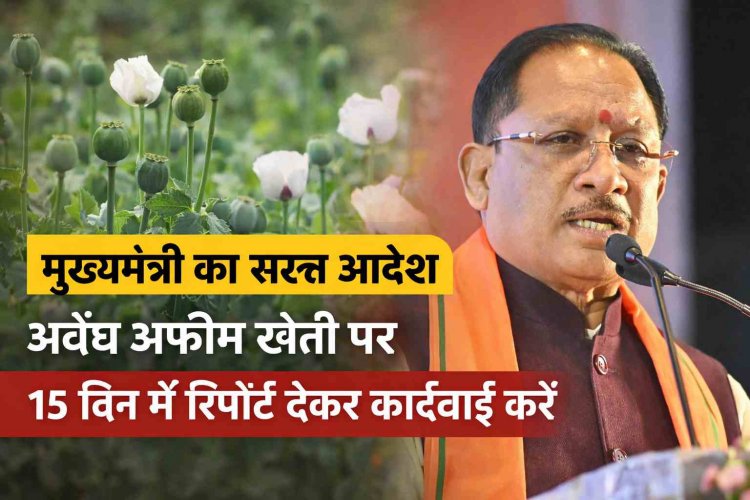 प्रदेश में अफीम की खेती की आशंका… मुख्यमंत्री साय ने सभी कलेक्टरों को दिए सख्त निर्देश