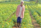 धान छोड़ फूलों की खेती ने बदली आनंदराम की तकदीर