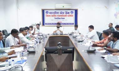 बैंकिंग योजनाओं का हर पात्र हितग्राही तक पहुंचे लाभ: कलेक्टर श्री व्यास