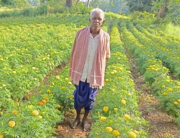 धान छोड़ फूलों की खेती ने बदली आनंदराम की तकदीर