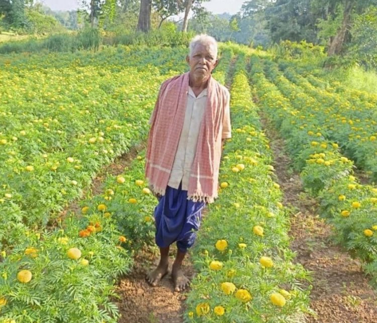 धान छोड़ फूलों की खेती ने बदली आनंदराम की तकदीर