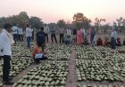 गौरेला-पेंड्रा-मरवाही: 10,160 तेन्दूपत्ता संग्राहकों के खातों में पहुँची 1.39 करोड़ रुपये से अधिक की बोनस राशि