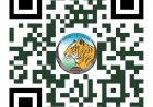 अंतरराष्ट्रीय बाघ दिवस पर होगा 'रन फॉर इंद्रावती' मैराथन का आयोजन