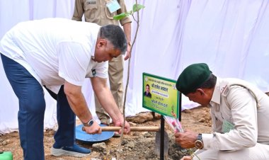 रायपुर: 'एक पेड़ माँ के नाम' अभियान के तहत मंत्री राजेश अग्रवाल ने किया पौधारोपण