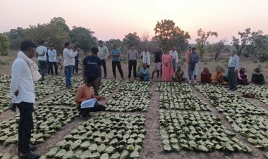 गौरेला-पेंड्रा-मरवाही: 10,160 तेन्दूपत्ता संग्राहकों के खातों में पहुँची 1.39 करोड़ रुपये से अधिक की बोनस राशि