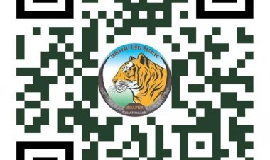 अंतरराष्ट्रीय बाघ दिवस पर होगा 'रन फॉर इंद्रावती' मैराथन का आयोजन