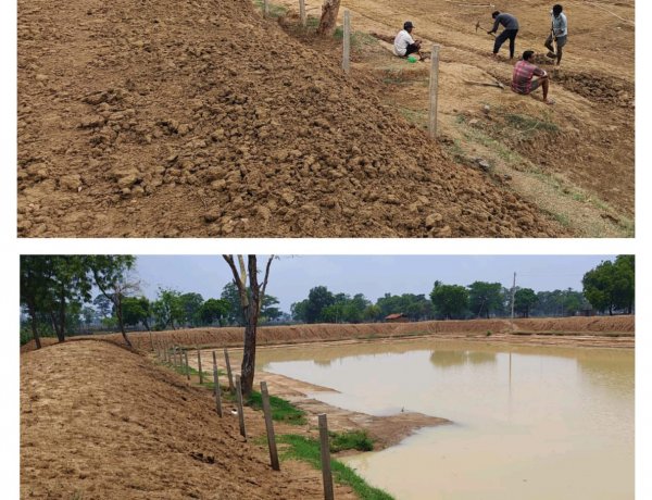 बारिश के साथ दिखने लगा ‘मोर गांव-मोर पानी’ अभियान का असर