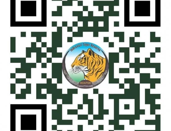अंतरराष्ट्रीय बाघ दिवस पर होगा 'रन फॉर इंद्रावती' मैराथन का आयोजन