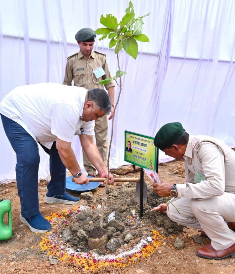 रायपुर: 'एक पेड़ माँ के नाम' अभियान के तहत मंत्री राजेश अग्रवाल ने किया पौधारोपण