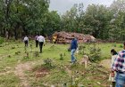 मलेरिया के खिलाफ जंगलों में उतरा स्वास्थ्य महकमा, संवेदनशील इलाकों की परखी तैयारियां