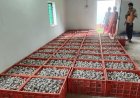 रायपुर : विशेष लेख : वनांचल में रेशम की चमक ,नारायणपुर में टसर योजना से संवर रही ग्रामीणों की तकदीर