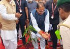‘राखी का धागा, प्रकृति की रक्षा का वादा’: गारीघाट में मुख्यमंत्री ने वृक्ष को बांधी राखी, किया पौधरोपण
