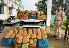 ऑपरेशन आघात में जशपुर पुलिस की बड़ी कार्रवाई, 520 किलो गांजा जब्त; महिला समेत 4 तस्कर गिरफ्तार
