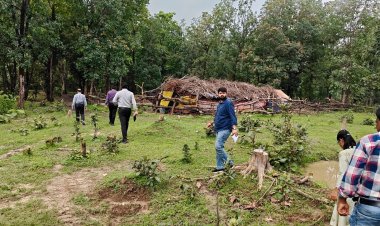मलेरिया के खिलाफ जंगलों में उतरा स्वास्थ्य महकमा, संवेदनशील इलाकों की परखी तैयारियां