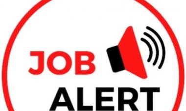 CG Job Alert: छत्तीसगढ़ पर्यावरण संरक्षण मंडल में भर्ती, 22 अगस्त तक करें आवेदन, जानें पूरी प्रक्रिया