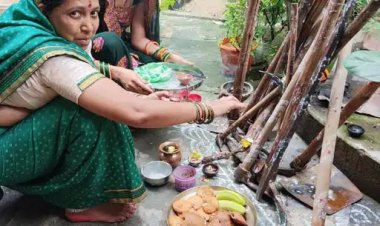 विशेष लेख ,छत्तीसगढ़ का लोक-पर्व: हरेली तिहार , धनंजय राठौर , संयुक्त संचालक, जनसंपर्क