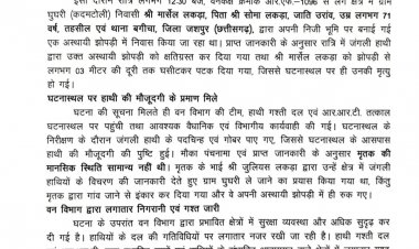 जशपुर: झोपड़ी में सो रहे 71 वर्षीय बुजुर्ग को हाथी ने घसीटकर पटका, घटनास्थल पर मौत; वन विभाग ने गश्त बढ़ाई