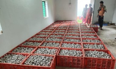 रायपुर : विशेष लेख : वनांचल में रेशम की चमक ,नारायणपुर में टसर योजना से संवर रही ग्रामीणों की तकदीर