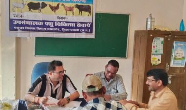 पशुपालन केसीसी से धमतरी के 93 पशुपालकों को मिली 98.62 लाख की वित्तीय संजीवनी
