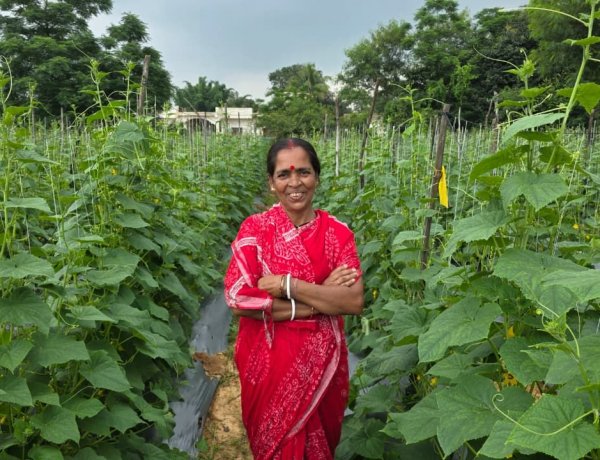 बिहान से बहनों को मिला आर्थिक संबल, खीरे की खेती से सुभद्रा मंडल ने लिखी आत्मनिर्भरता की नई कहानी