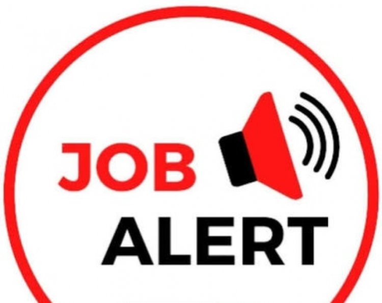 CG Job Alert: छत्तीसगढ़ पर्यावरण संरक्षण मंडल में भर्ती, 22 अगस्त तक करें आवेदन, जानें पूरी प्रक्रिया