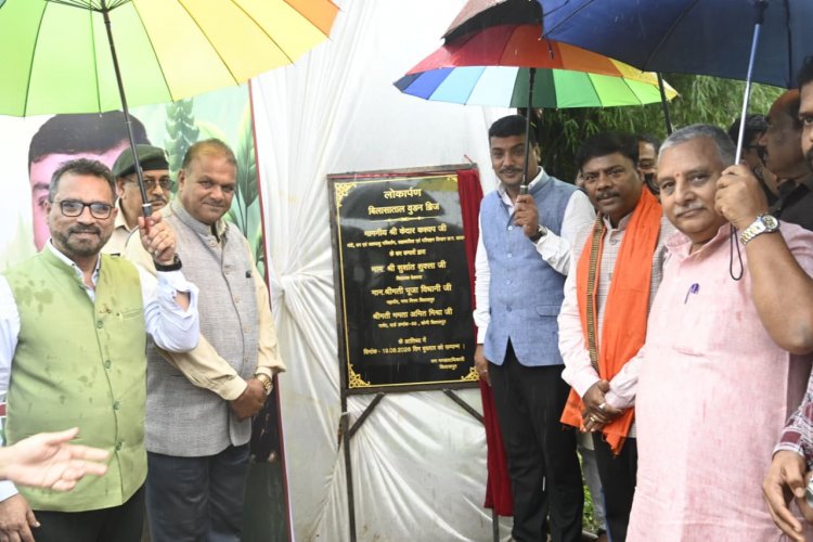 बिलासपुर: बिलासा ताल में बना आकर्षक वुडन ब्रिज, पर्यटन सुविधाओं को मिला नया आयाम
