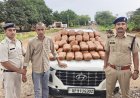 ऑपरेशन आघात के तहत बागबहार पुलिस की बड़ी कार्रवाई, उड़ीसा से उत्तर प्रदेश गांजा ले जाने की थी तैयारी