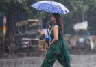 जशपुर : जिले में अब तक 7466.7 मिमी बारिश, सामान्य वर्षा का 88.5 प्रतिशत दर्ज