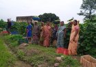 सारंगढ़-बिलाईगढ़ : बिहान से बदली 35 महिला किसानों की राह, 600 क्विंटल सब्जी उगाकर कमाए 6 लाख रुपए