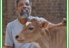 जशपुर: किसान मधुसुदन भगत के लिए गौपालन बना मजबूत आय का साधन