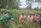 परखंदा की महिलाओं ने खस की खुशबू से रची आर्थिक आजादी की नई इबारत