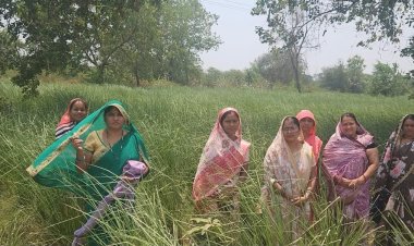 परखंदा की महिलाओं ने खस की खुशबू से रची आर्थिक आजादी की नई इबारत