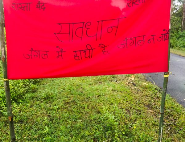 जंगल क्षेत्र में लगाए गए ‘सावधान, जंगल में हाथी है’ के बैनर, ग्रामीणों से जंगल के रास्तों का उपयोग नहीं करने की अपील