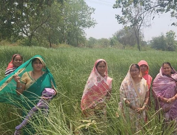 परखंदा की महिलाओं ने खस की खुशबू से रची आर्थिक आजादी की नई इबारत