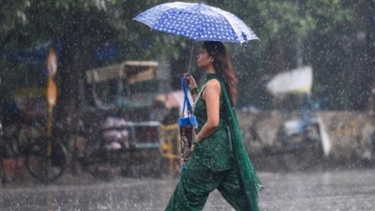 जशपुर : जिले में अब तक 7466.7 मिमी बारिश, सामान्य वर्षा का 88.5 प्रतिशत दर्ज