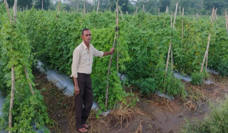 रायपुर : करेले की उन्नत खेती ने बदली किसान नारायण प्रसाद वर्मा की तकदीर, प्रति एकड़ 1.07 लाख रुपये का शुद्ध लाभ