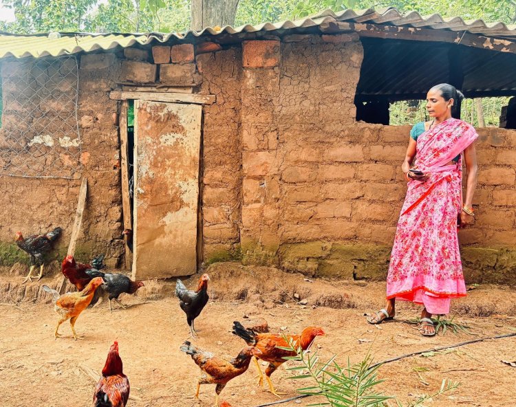 दंतेवाड़ा में बिहान योजना से बदली रामबती की जिंदगी, मुर्गी पालन से कमाए 25 हजार रुपये
