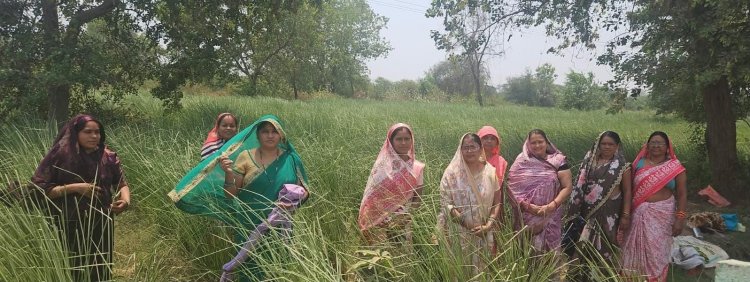 परखंदा की महिलाओं ने खस की खुशबू से रची आर्थिक आजादी की नई इबारत