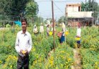 फ्लोरीकल्चर हब प्रोत्साहन योजना से घनश्याम साहू की खेती को मिली नई दिशा